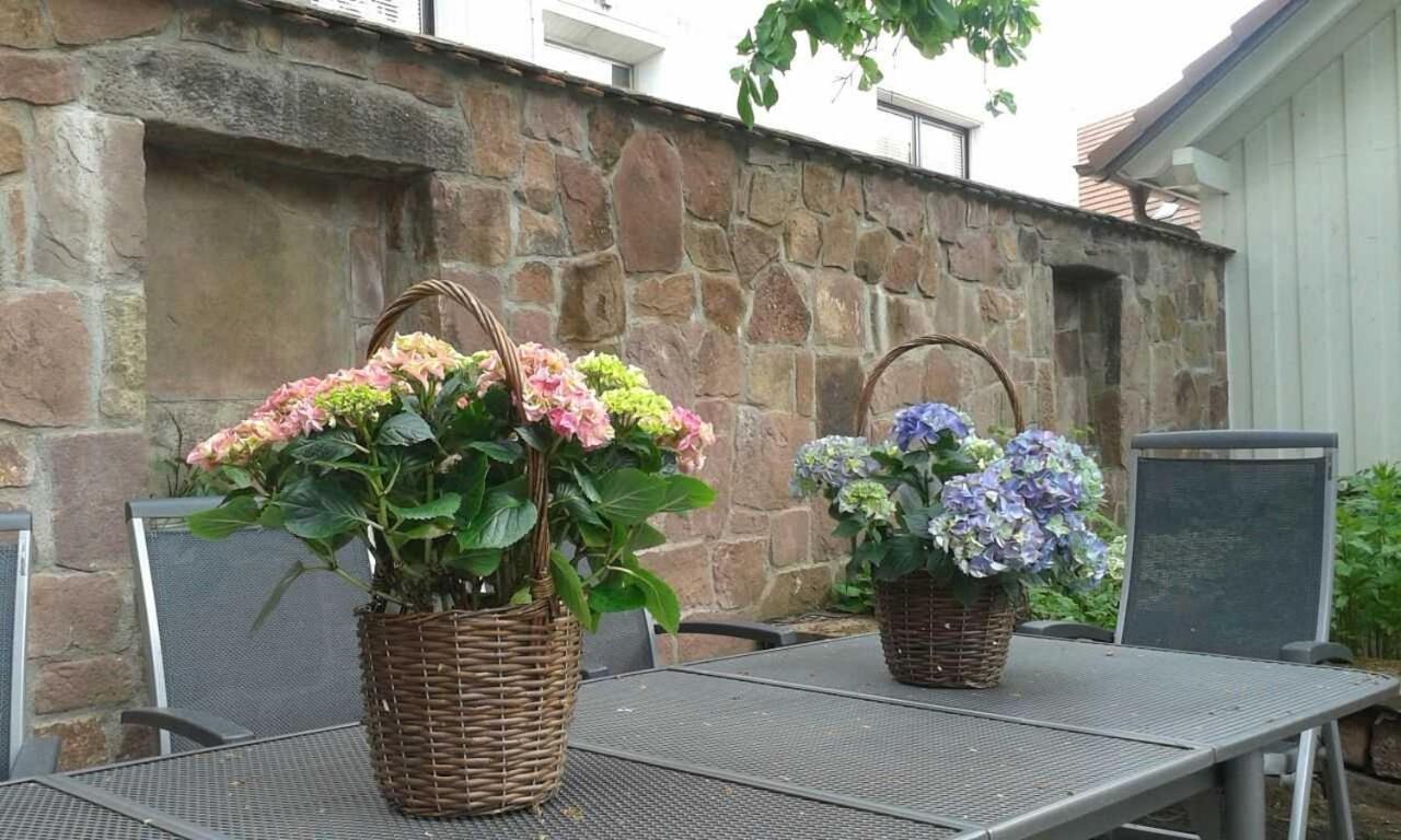 Galerie Über den Gärten Herbolzheim Exterior foto